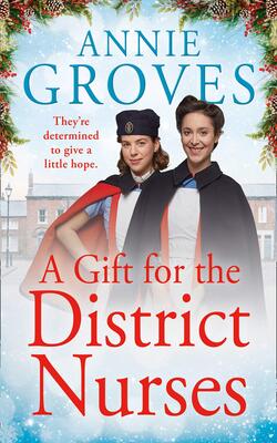 A Gift for the District Nurses (The District Nurse #4)
