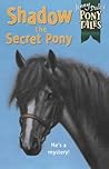 Shadow the Secret Pony (Jenny Dale's Pony Tales, #6)