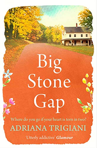 Big Stone Gap (Big Stone Gap, #1)