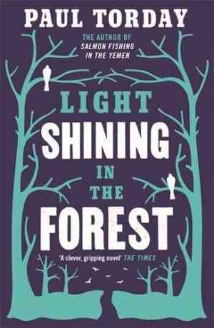 Light Shining In The Forest
