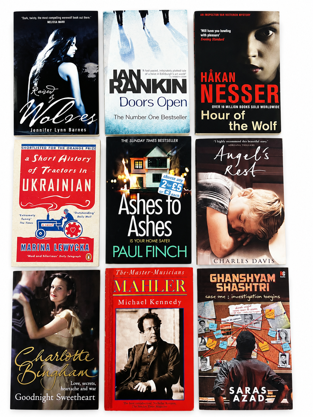 9 Must-Read Books Bundle – Crime Thrillers, Mystery, Romance & Historical Fiction Collection | Katherine Webb | Mark Billingham | David Whitehouse