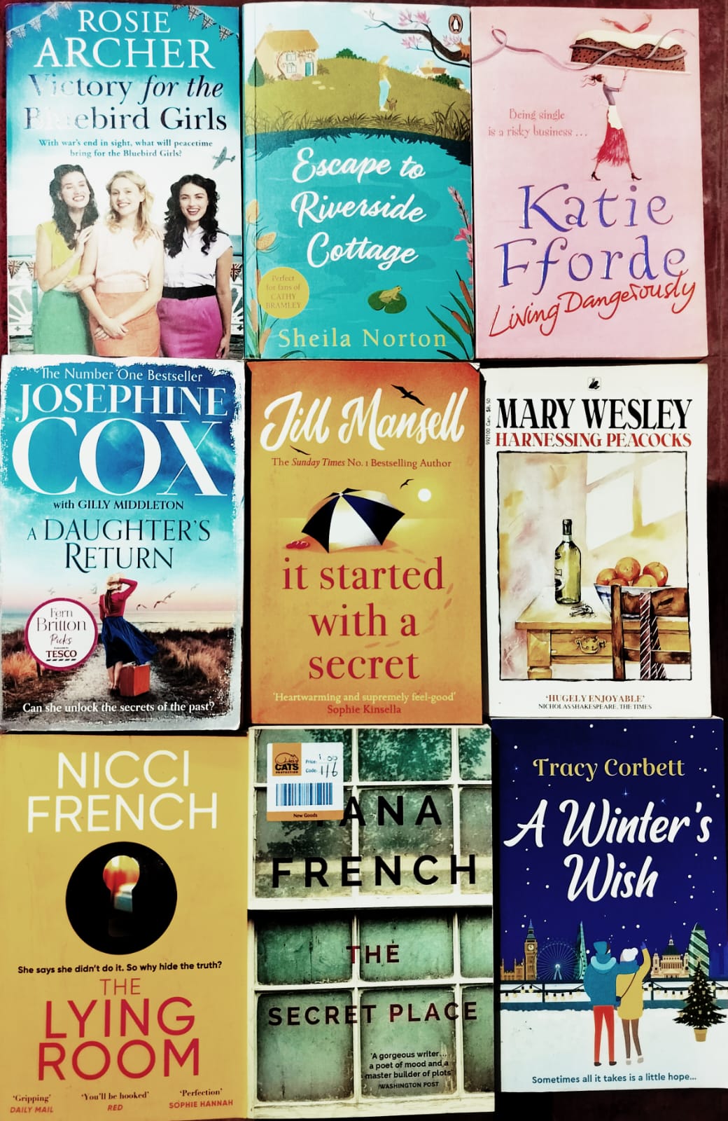 The Ultimate Women's Fiction & Secret Mystery Set: 9 Engaging Novels