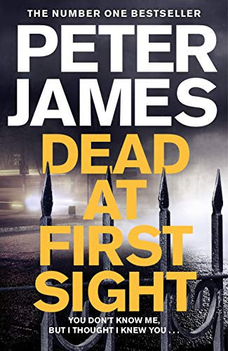 Dead at First Sight (Roy Grace, #15)