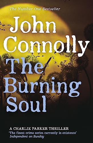 The Burning Soul (Charlie Parker, #10)