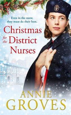 Christmas for the District Nurses (The District Nurse, Book 3)