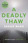 A Deadly Thaw (DC Connie Childs, #2)