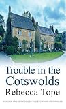 Trouble in the Cotswolds (Cotswold Mysteries, 12)
