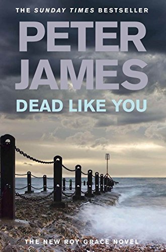 Dead Like You (Roy Grace, #6)