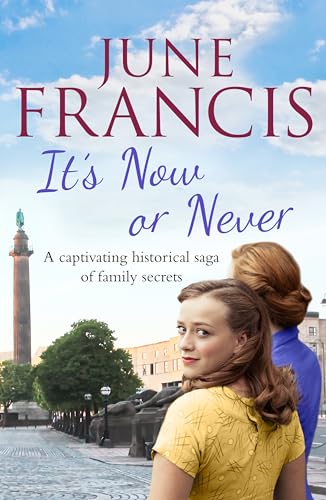 It's Now or Never: A gripping saga of family and secrets