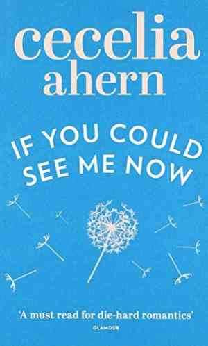 If You Could See Me Now by Cecelia Ahern