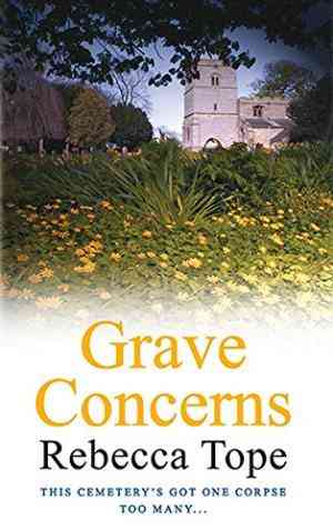 Grave Concerns (Drew Slocombe, #2)