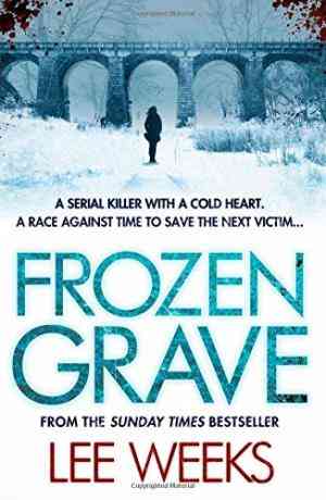 Frozen Grave (DC Ebony Willis, #3)