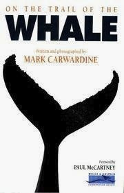 On The Trail Of The Whale