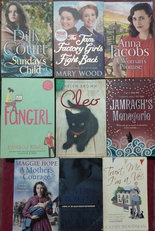 📚 The "Escape to the Countryside & Cozy Comfort"