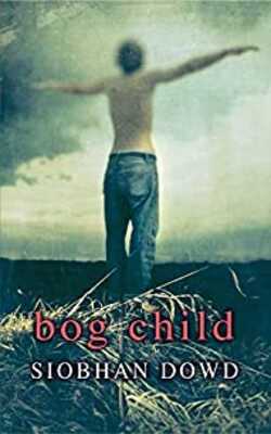 Bog Child Reader (Rollercoasters)