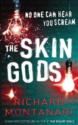 The Skin Gods (Jessica Balzano & Kevin Byrne, #2)
