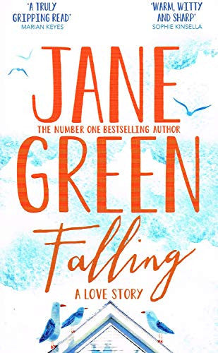 Falling A Love Story