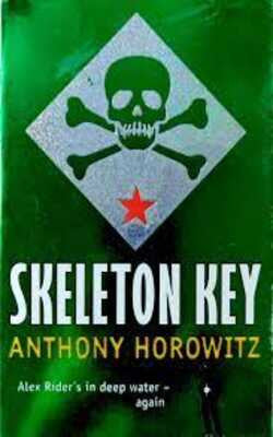 Skeleton Key (Alex Rider, #3)